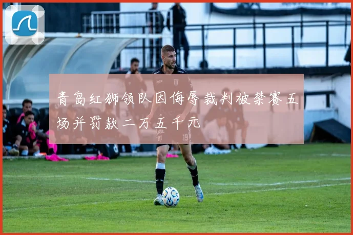 青岛红狮领队因侮辱裁判被禁赛五场并罚款二万五千元